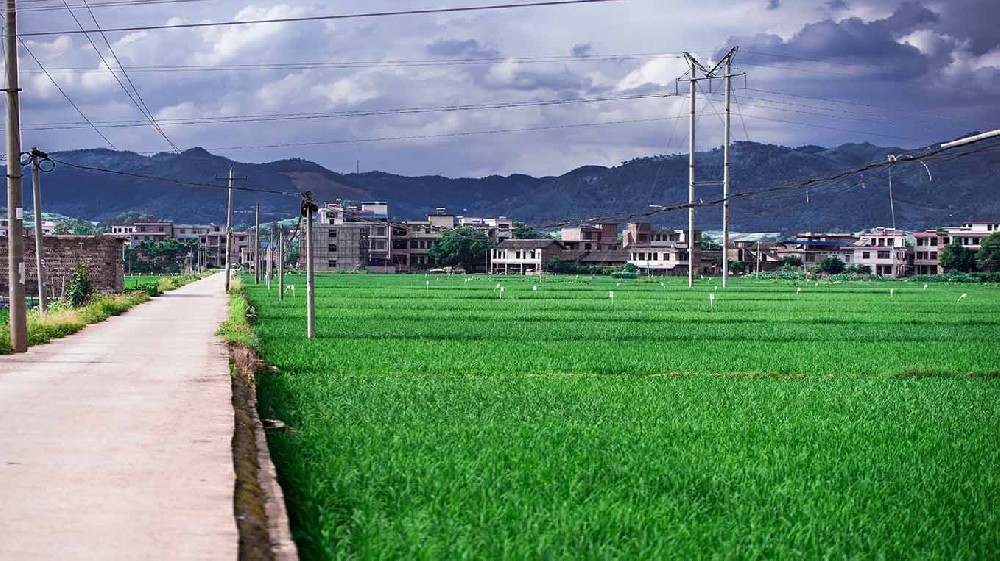 平谷区内蒙古乡村沃畉农业服务购入…